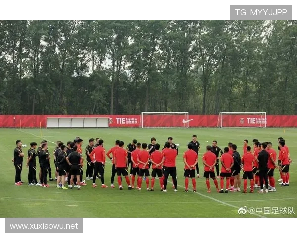 朱艺对比国足与印尼集训大名单身价悬殊国足总值仅为对手三分之一